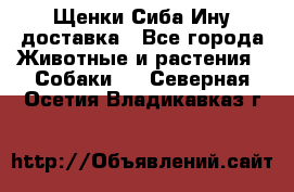 Щенки Сиба Ину доставка - Все города Животные и растения » Собаки   . Северная Осетия,Владикавказ г.